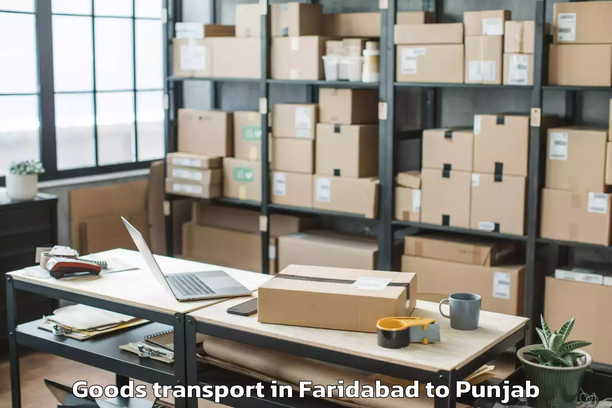 Expert Faridabad to Makhu Goods Transport